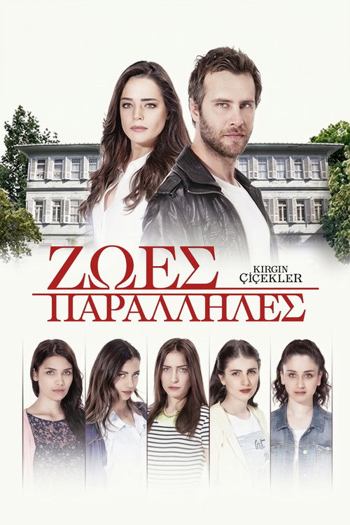 Αφίσα Ζωές Παράλληλες