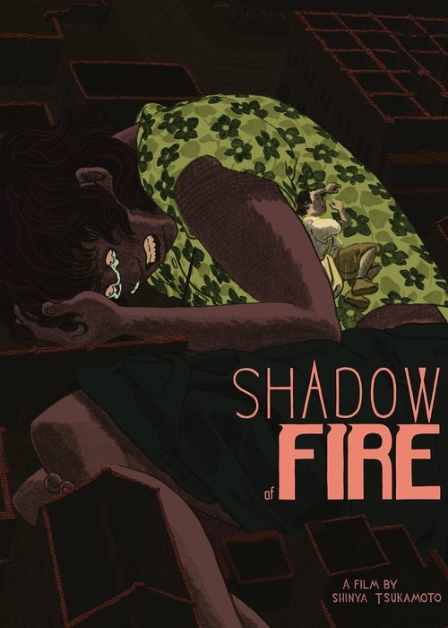 Shadow of Fire poster