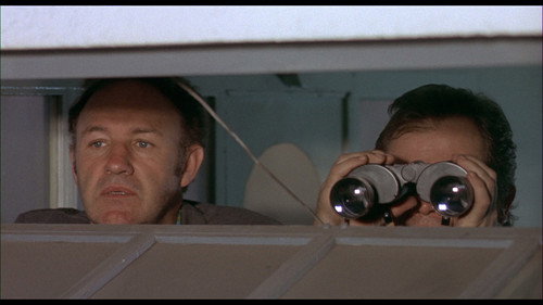 French Connection II