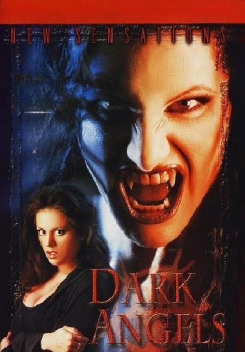 Dark Angels poster