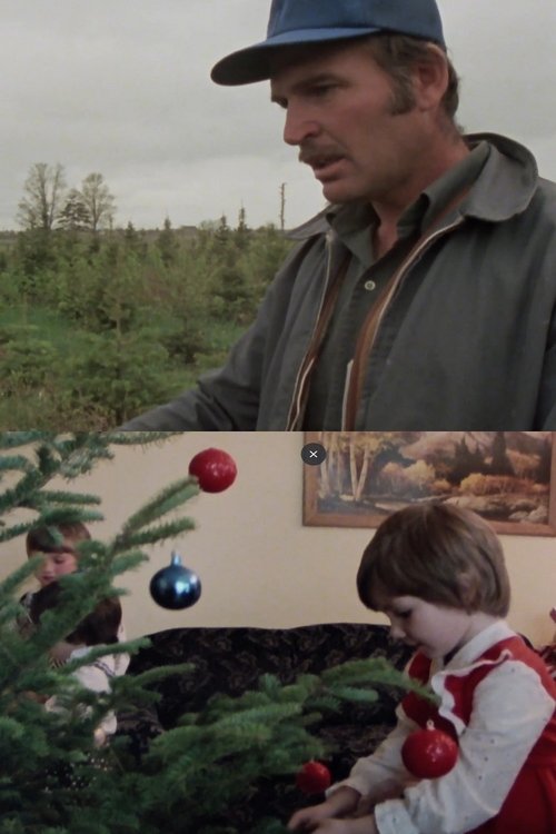 Arbres de Noël à vendre (1981) poster