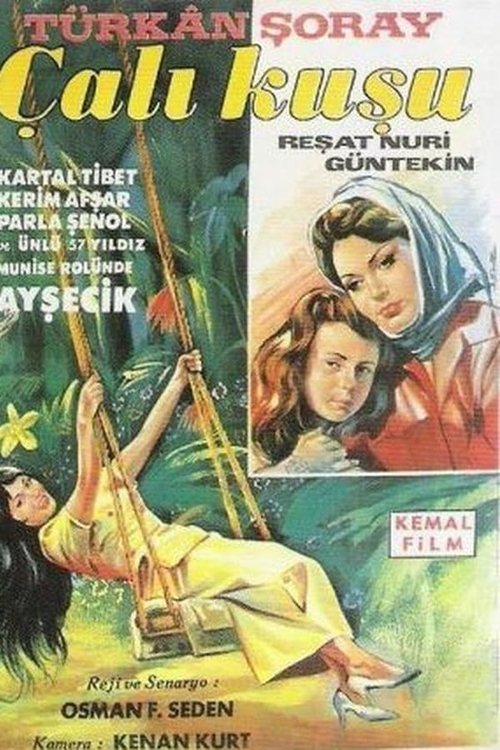 Çalıkuşu 1966