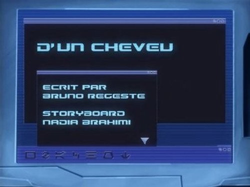Image D'un cheveu