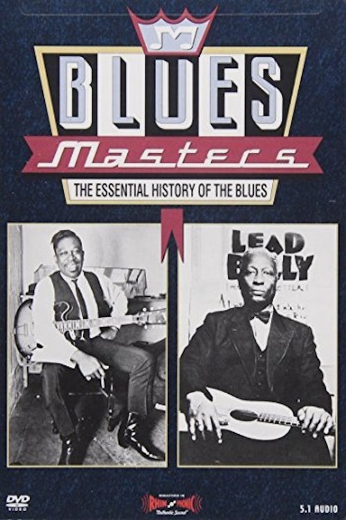 Blues Masters - The Essential History of the Blues