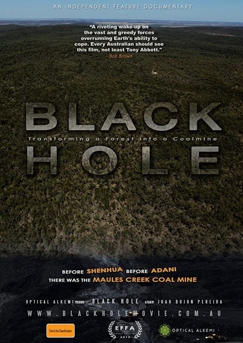 Black Hole poster