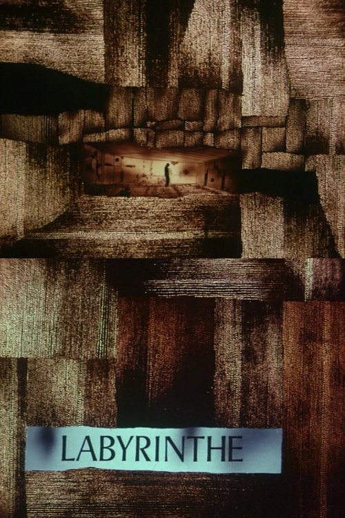 Poster image du film Le labyrinthe Le labyrinthe