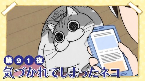 Épisode 91