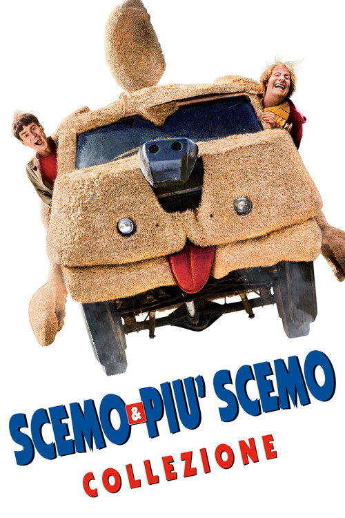 Scemo & più scemo - Collezione