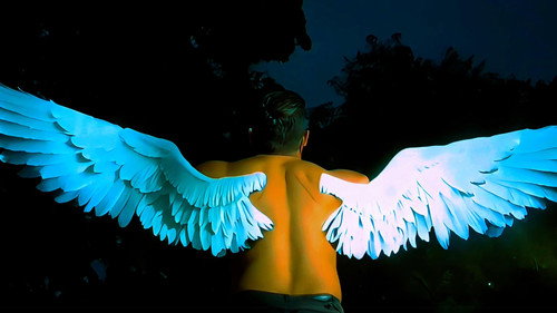 Las sombras también tienen alas