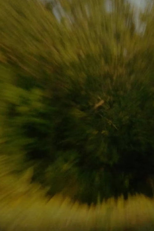 Suspicions About the Hidden Realities of Air