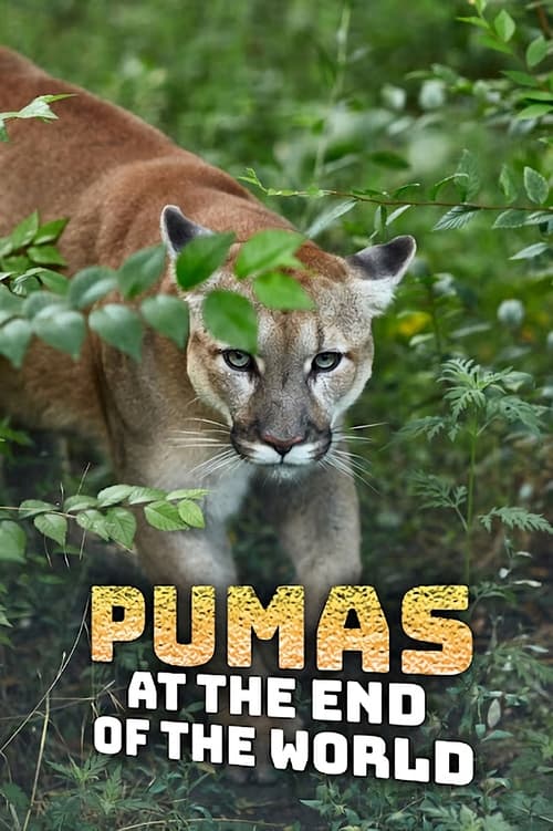 Poster Pumas At The End of The World