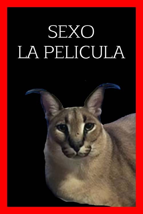 SEXO: La Pelicula