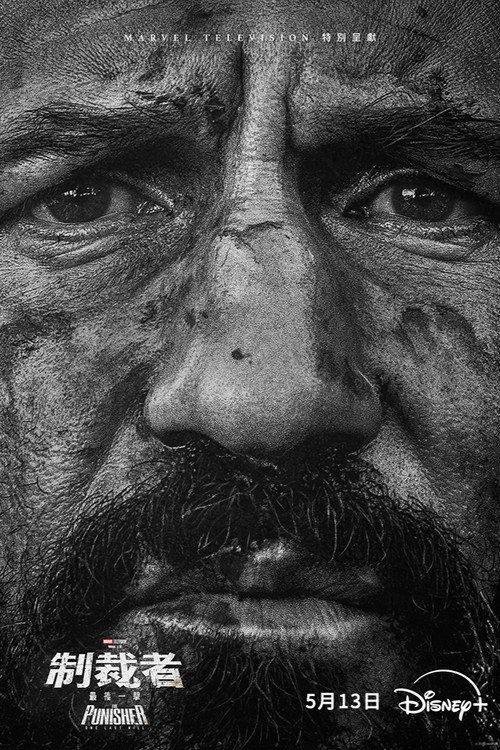 The Punisher: One Last Kill