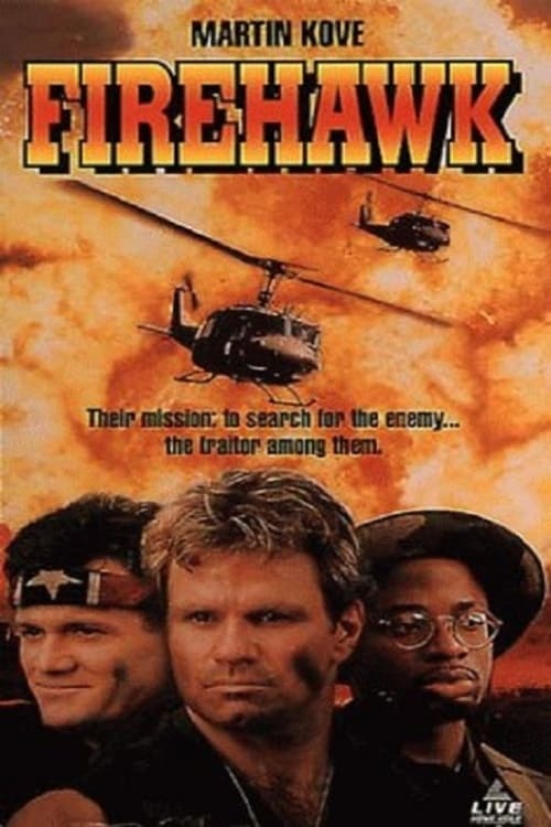 Firehawk (1993) poster