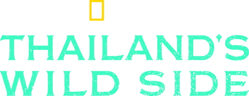 Thailand's Wild Side