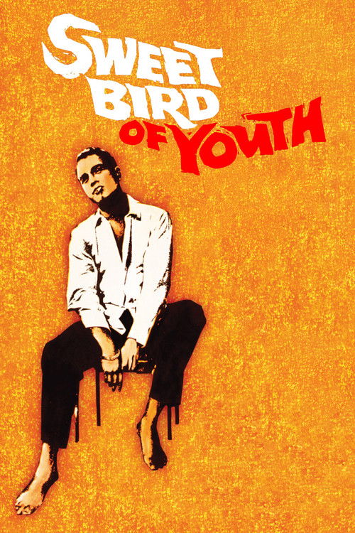 Sweet Bird of Youth poster