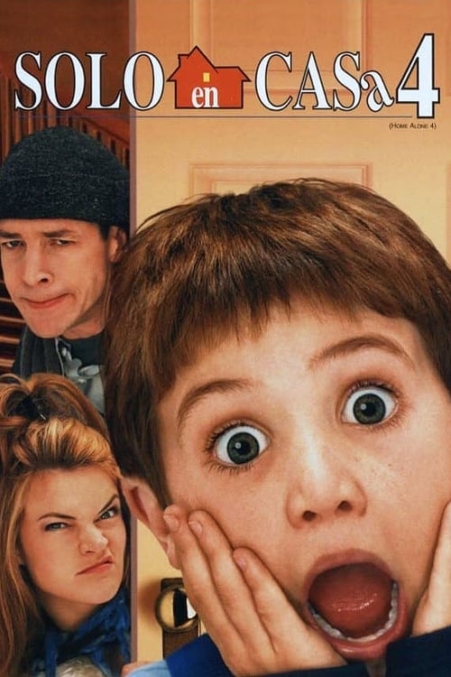 Home Alone 4 poster