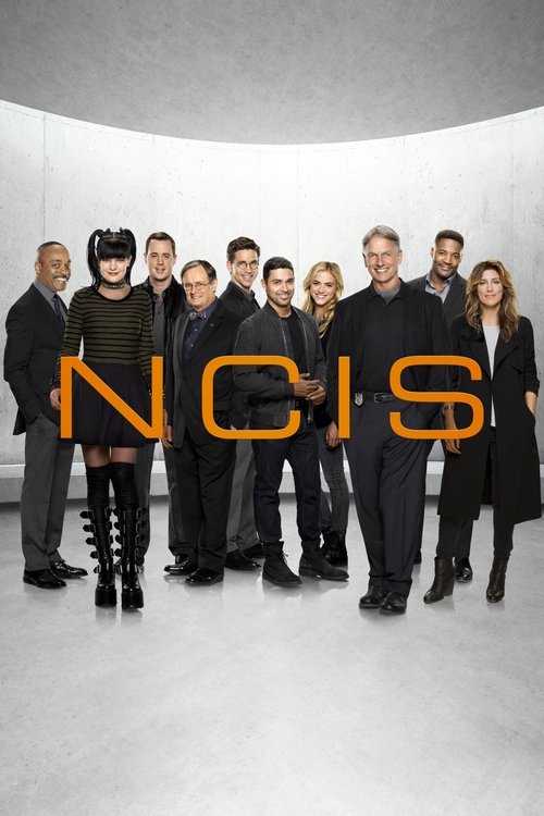 NCIS Poster