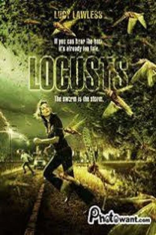 Locusts 2005