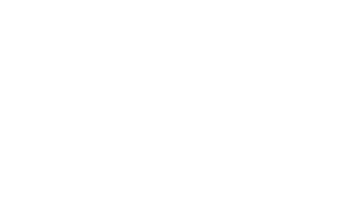 Dragon: The Bruce Lee Story