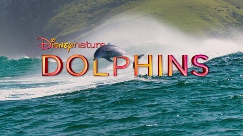 Dolphins