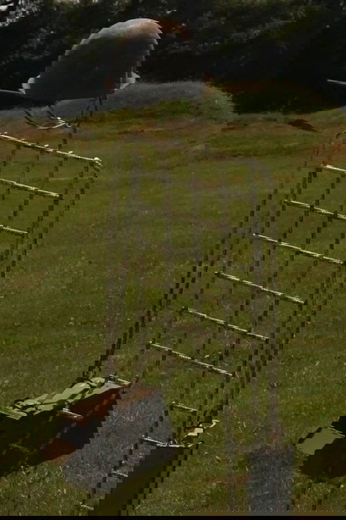 REPORTER D'APRÈS-GUERRE