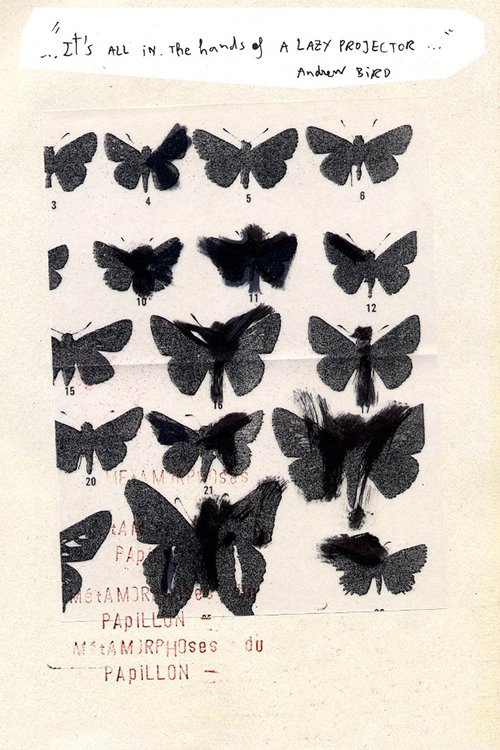 Métamorphoses du Papillon movie poster player