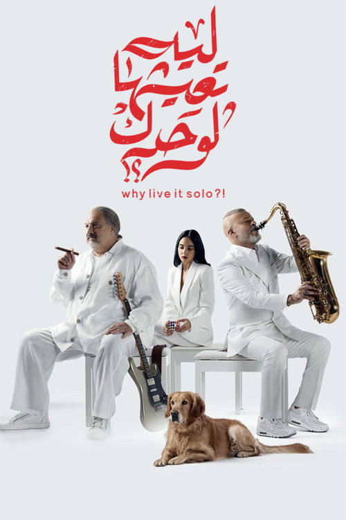 Why Live It Solo?! poster