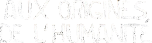 Aux origines de l'humanité