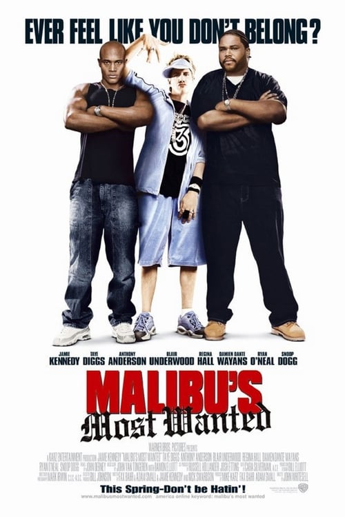 Le Rappeur de Malibu 2003