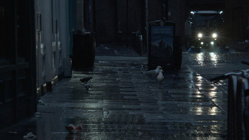 de-magic-ation of a city