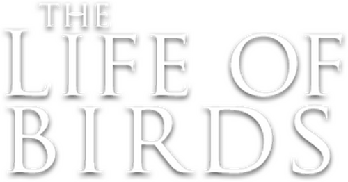 The Life of Birds