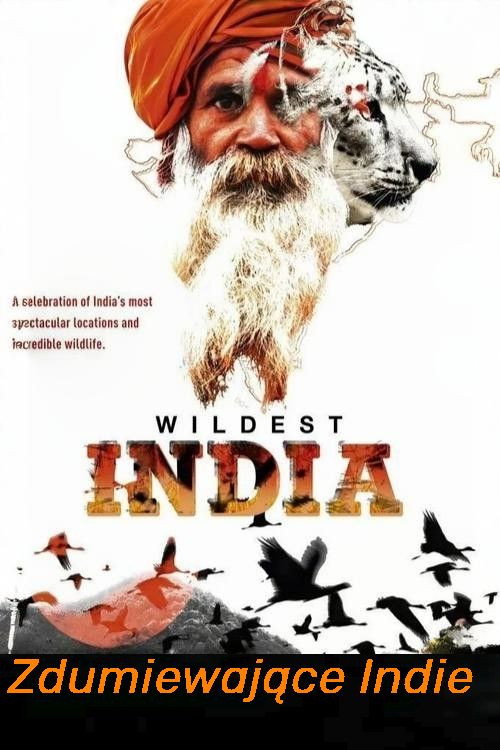 Zdumiewające Indie