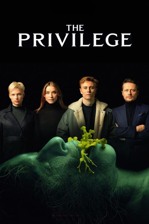 Largescale poster for The Privilege