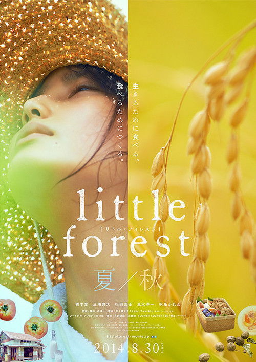Pòster de Little Forest Collection