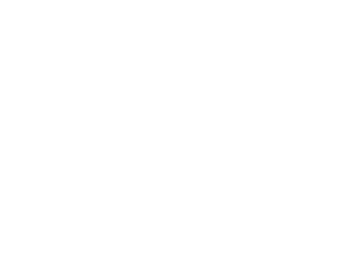 Mi perro Skip