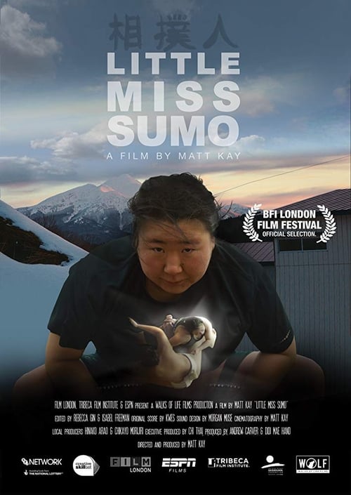 Image Little Miss Sumo