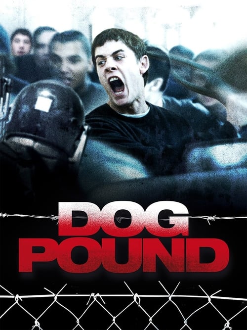 Dog Pound poster