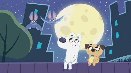 Dog Loves Night Still