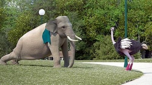 Image de l'épisode 5