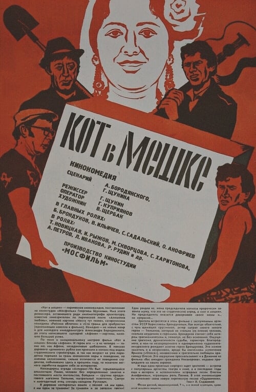 Кот в мешке (1979)