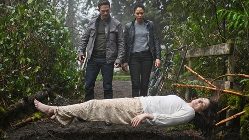 Debris: 1×1