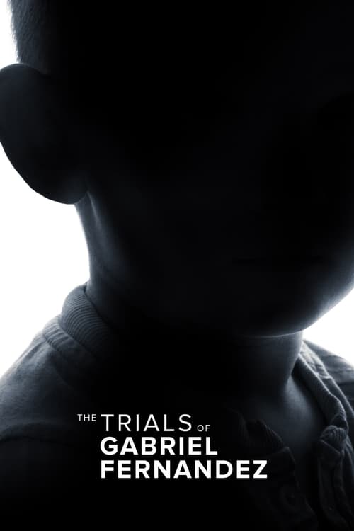 Poster Image for The Trials of Gabriel Fernandez