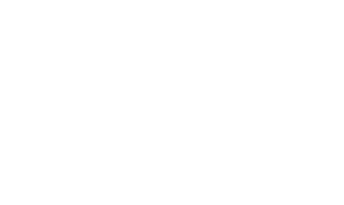 Gişe Memuru