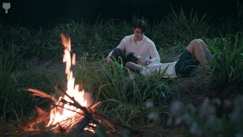 Épisode 11