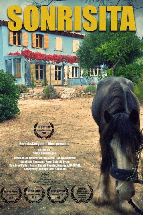 Sonrisita movie poster player