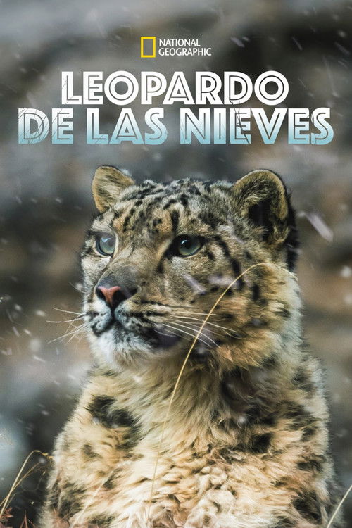 The Frozen Kingdom of the Snow Leopard poster