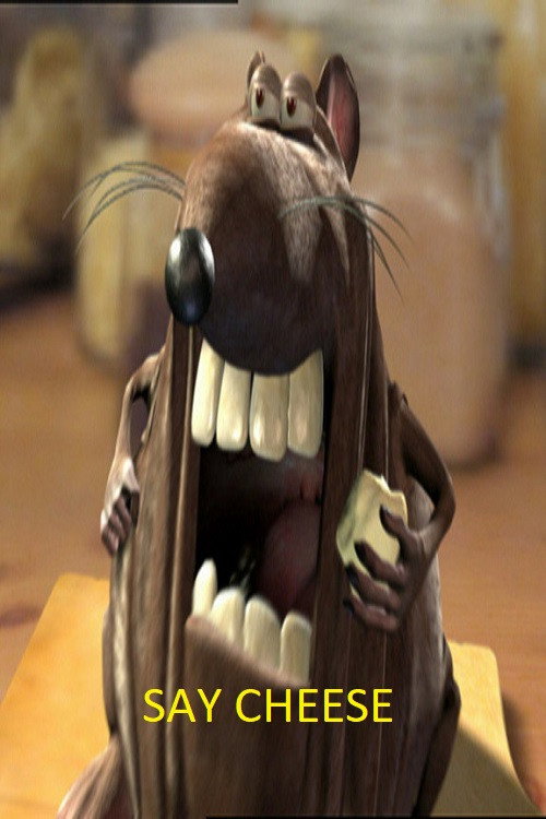 Say Cheese