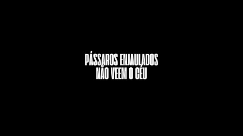 Pássaros Enjaulados Não Veem o Céu Backdrop Blur