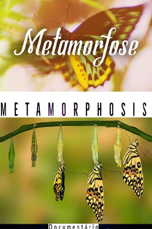 Documentário Metamorfose